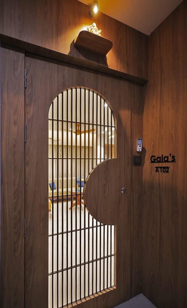 Entrance safety door